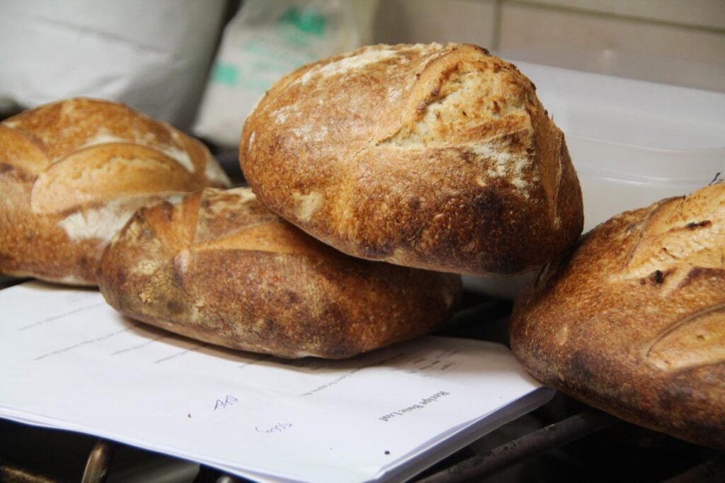 Sourdough Bread