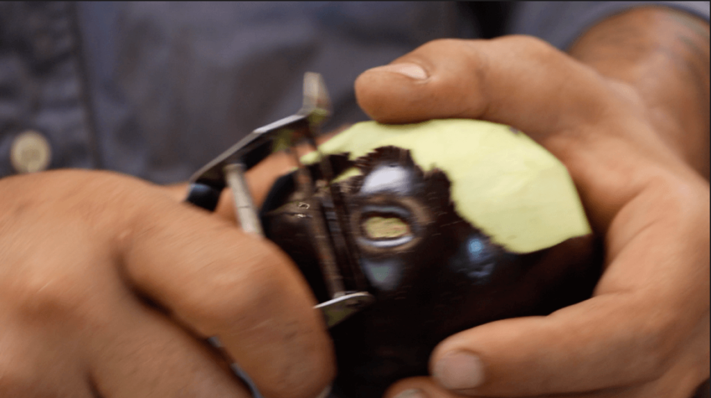 PEELING AN AUBERGINE