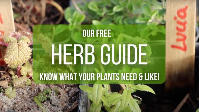 Free Herbal Guide