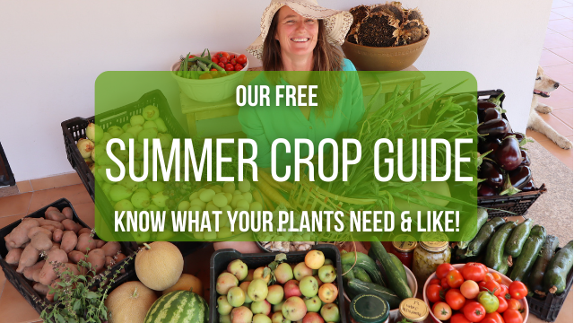 Summer crop guide