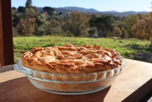 closed decorated pie in a glass pie dish outside in the sunshine