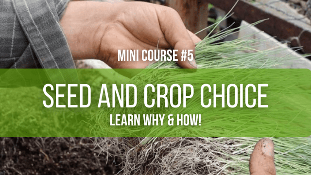 Seed and crop choice