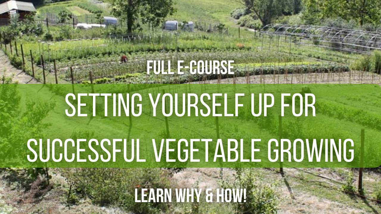 Full 6 part e-course: Setting yourself up for successful vegetable growing