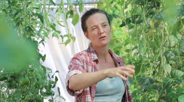 2-Day On-Site Regenerative Vegetable Growing Course