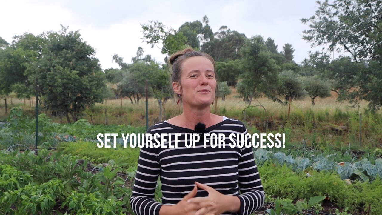 Full 6 part e-course: Setting yourself up for successful vegetable growing