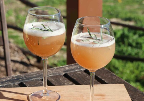 two big wine glasses with golden yellow liquid, white foam and branch of rosemary in sunlight