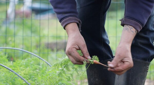 Farm-to-Table Retreat - Image 11