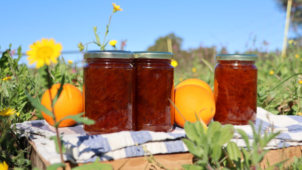 jars with dark orange jam, oranges, on blue and white fabric, between green plants