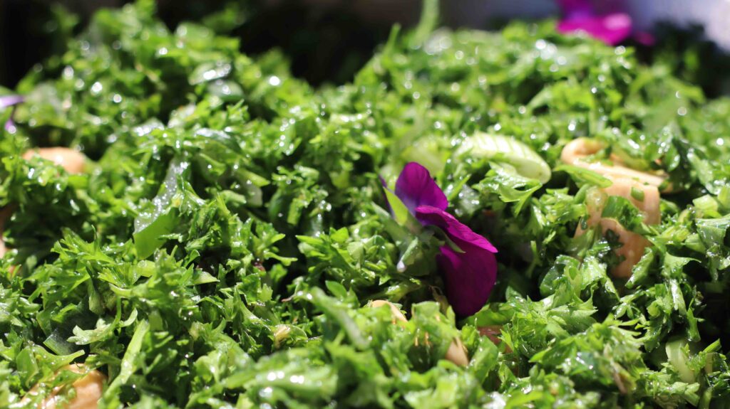 tabouleh tic farm style close up