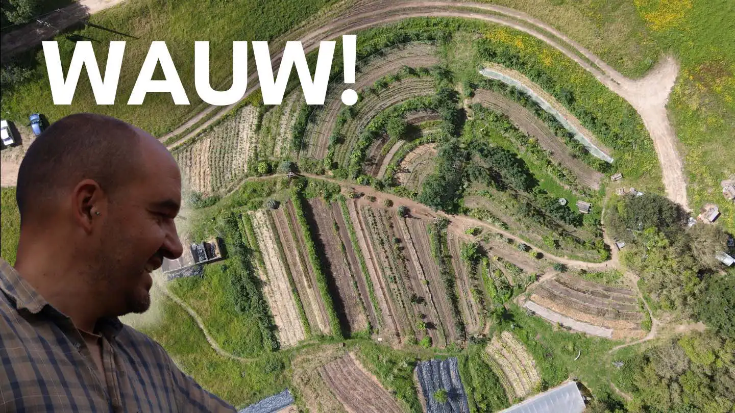 Aerial-View-of-Curved-Garden-Beds-with-Farmer-Looking-On