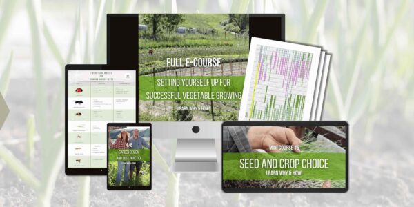 Full 6 part e-course: Setting yourself up for successful vegetable growing