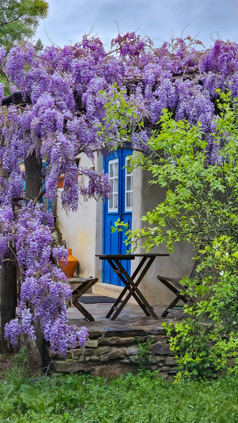 2026 Farm-to-Table Retreat 7-11 October - Image 17