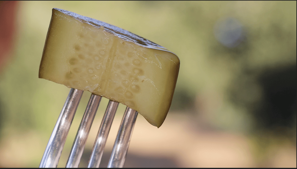 canning ferments, piece on fork
