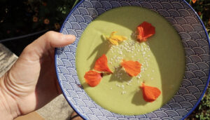 Curry Cashew Zucchini Cream Soup in plate from the farming chefs