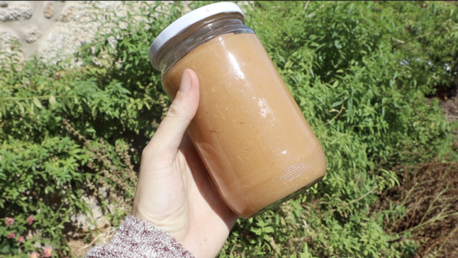 Homemade Skin-On Apple Sauce