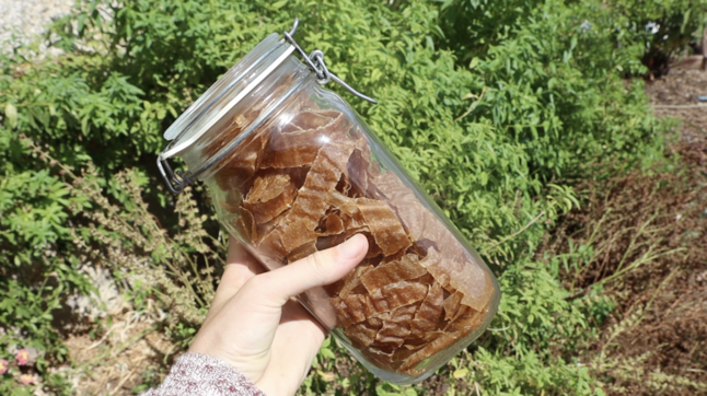 Apple Leather (No Added Sugar)