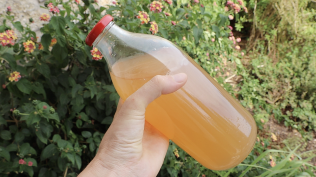 Steam Extracted Apple Juice