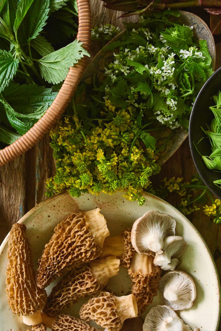 Freshly foraged spring greens, mushrooms and wild herbs on a table